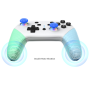 Manette sans fils Switch Dobe TNS-1176