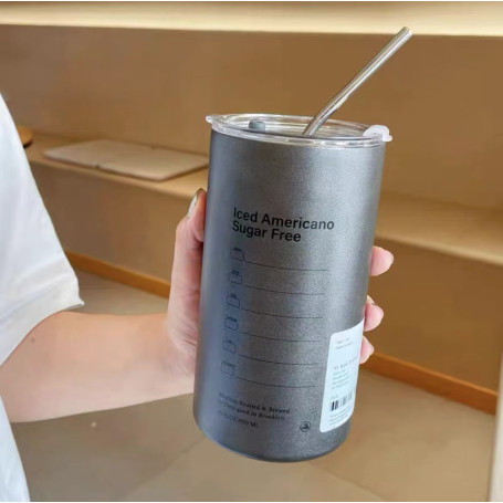 Bouteille d'eau en acier inoxydable isotherme avec paille en acier inoxydable 350ML - Gris