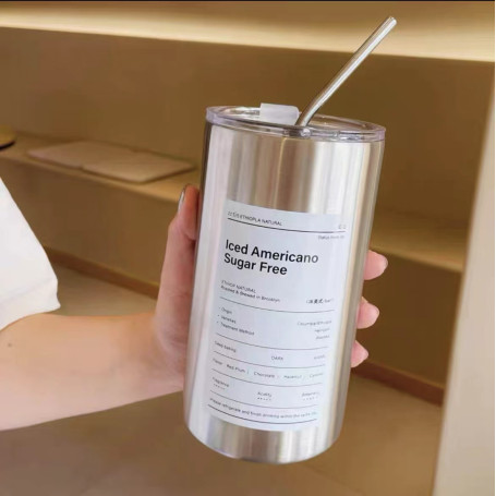 600ML Insulated Stainless Steel Water Bottle with Straw - Stainless Steel Color