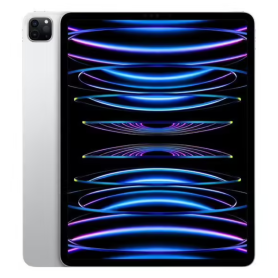 iPad Pro 12.9" 6e Génération 128 Go Cellular Gris - Grade AB | Offres Exclusives