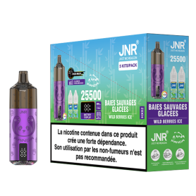 Vapoteuse E-Liquide Rechargeable JNR Panda - 25500 Puffs Wild Berries Ice Flavor