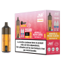 Vapoteuse Rechargeable JNR Panda 25500 Puffs - Saveur Pêche Glacée - E-Liquide Innovant