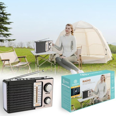 Radio, Transistor - Multi-Band Portable Radio (FM/MW/SW) - Classic Design and Powerful Reception CIAOBOSI TX-8576 -Golden, whole
