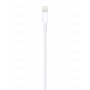 USB / Lightning Cable - 1M - Bulk (Apple)