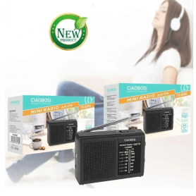 Mini Radio de Poche AM/FM CIAOBOSI TX-8184 | EasyMobile
