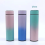 Smart Flask, Thermos - CIAOBOSI TX-8262 Smart Thermos Bottle with Digital Display (450 ml) – Green, wholesale price