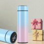 Thermos, Gourde - Bouteille Thermos Intelligente avec Écran Digital CIAOBOSI TX-8262 (450 ml) - Bleu, prix de gros.