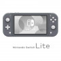 Nintendo Switch Lite Console Grey With Adapter (Origin Japan)