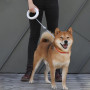 Retractable Leash for Xiaomi Moestar Dog with Light