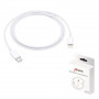 Type-C to Lightning Cable 1M 20W  (Mayline)