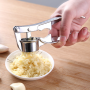 Garlic press