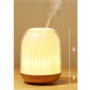 Mini perfume humidifier ASIAMIST