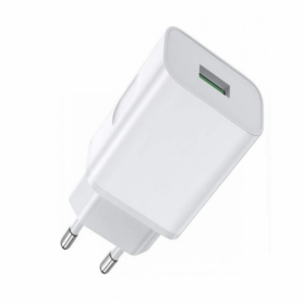 10W USB Charger in Bulk