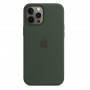 Coque en Silicone avec MagSafe iPhone 12 Pro Max Vert (Apple)