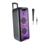 Enceinte Bluetooth NGS Wild Rave 2 avec microphone 300W - Noir