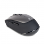 Souris Sans Fils NGS Frizz Dual Avec Capteur Optique 2.4 GHZ - Gris