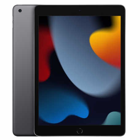 iPad 10.2" (9e Génération) 64 Go Cellular Gris - Grade A