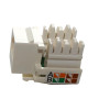 Adapter of connector of module of socket RJ45 Cat6 Cat5E Keystone without Tool