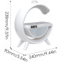 Wake-up Light with Wireless Charger/Bluetooth Speaker/Digital Alarm Clock/Alarm Light/Mood Lamp