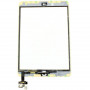 Ecran pour iPad mini / mini 2 blanc 