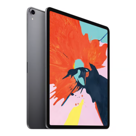 iPad Pro 12.9" (3e Génération) 256 Go Cellulaire - Gris Sidéral - Grade AB