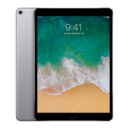 iPad Pro 12.9" (2e Génération) 256 Go Wi-Fi Gris - Grade AB